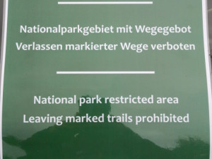 Turisté chodili i kam neměli. V centrální části NP Šumava platí nově omezení vstupu do jádrového území tetřeví populace