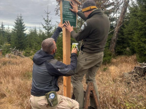 Turisté chodili i kam neměli. V centrální části NP Šumava platí nově omezení vstupu do jádrového území tetřeví populace