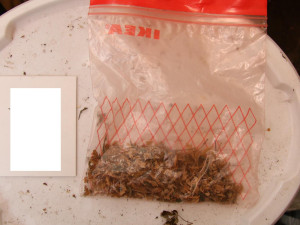 Policie na Prachaticku dopadla dealera drog. Hrozí mu až pět let vězení