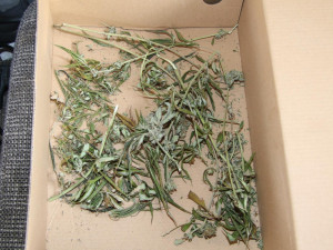 Policie na Prachaticku dopadla dealera drog. Hrozí mu až pět let vězení