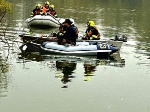 Ze zoologické v Hluboké nad Vltavou utekl dnes kozorožec, hasiči jej chytili