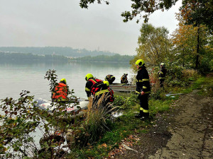 Ze zoologické v Hluboké nad Vltavou utekl dnes kozorožec, hasiči jej chytili