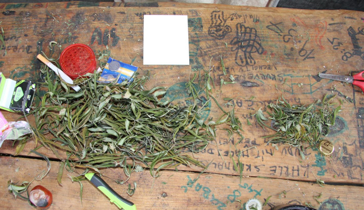 Policie na Prachaticku dopadla dealera drog. Hrozí mu až pět let vězení