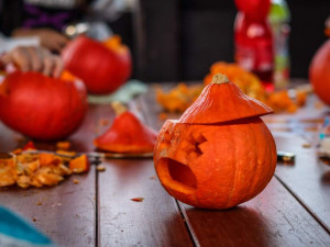 Abrakadabra, čáry máry pojďte se bát za zvířátky do Zoo Hluboká