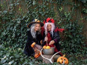 Abrakadabra, čáry máry pojďte se bát za zvířátky do Zoo Hluboká