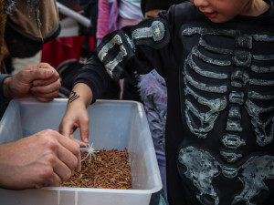 Abrakadabra, čáry máry pojďte se bát za zvířátky do Zoo Hluboká
