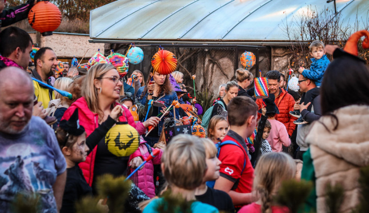 Abrakadabra, čáry máry pojďte se bát za zvířátky do Zoo Hluboká