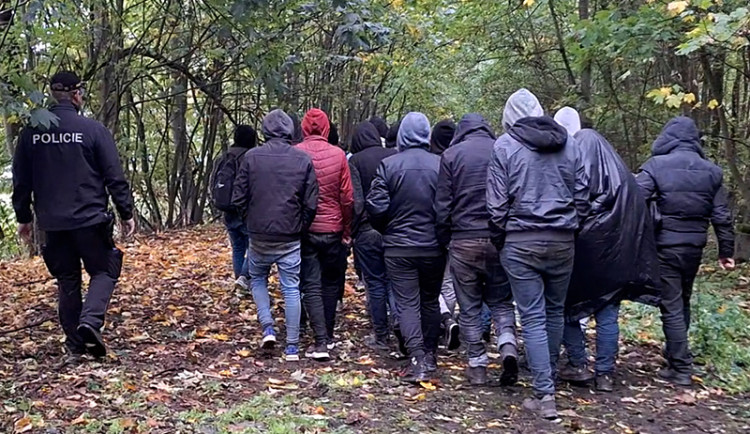 Policejní pes Umpalumpa vypátral skupinu šestadvaceti migrantů ze Sýrie. Ukrývali se u Mohelnice v lese