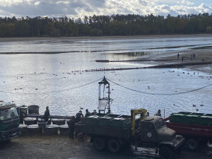 Výlov rybníku Bezdrev je v plném proudu. Akci si v sobotu vyrazili užít desítky lidí