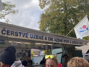 Výlov rybníku Bezdrev je v plném proudu. Akci si v sobotu vyrazili užít desítky lidí