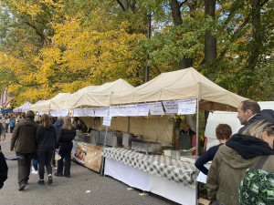 Výlov rybníku Bezdrev je v plném proudu. Akci si v sobotu vyrazili užít desítky lidí