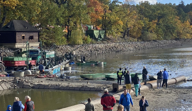 394462731_1155658449154470_7682099113674956448_n