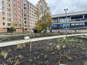Revitalizace náměstí u KD Vltava spěje ke konci. Závlahu zeleně bude řídit automat