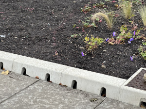 Revitalizace náměstí u KD Vltava spěje ke konci. Závlahu zeleně bude řídit automat