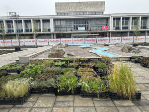 Revitalizace náměstí u KD Vltava spěje ke konci. Závlahu zeleně bude řídit automat