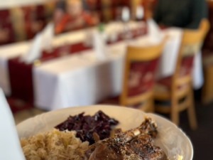 Na Budějovicko přiletí Svatomartinská husa