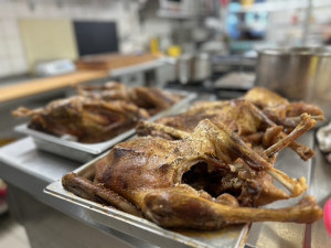 Na Budějovicko přiletí Svatomartinská husa