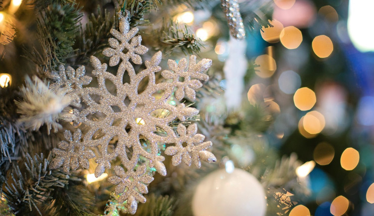 KULTURNÍ TIPY: V Géčku rozsvítí vánoční stromeček, v Úsilném pořádají Svatomartinský trh