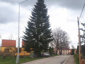 Vánoční strom v Jindřichově Hradci bude zdobit dva kilometry dlouhý světelný řetěz