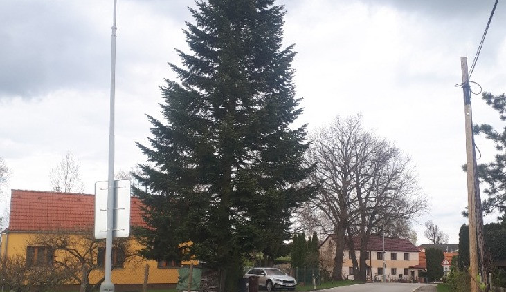 Vánoční strom v Jindřichově Hradci bude zdobit dva kilometry dlouhý světelný řetěz.