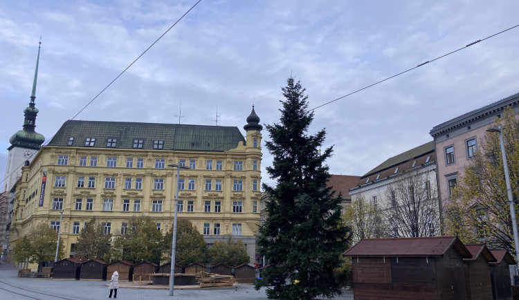 Brno se dočkalo. Na náměstí Svobody lidé obdivují vánoční jedli