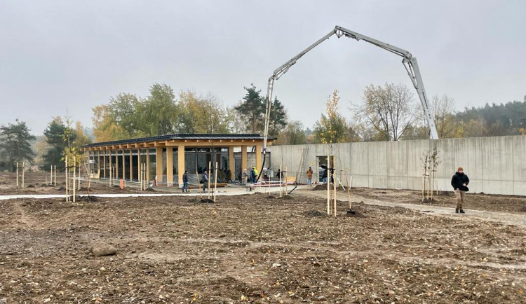 Romský památník v Letech otevře v únoru, sazenice pro les dodal Schwarzenberg