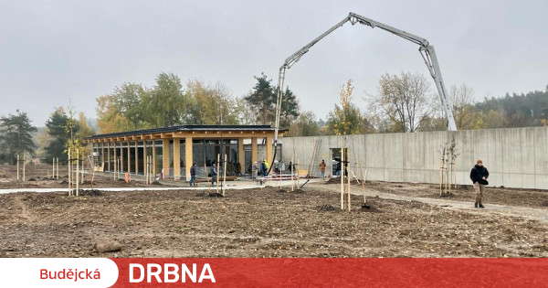 Roma-minnesmerket i Lety åpner dørene i februar, plantene til skogen ble levert av Schwarzenberg Entreprise |  Nyheter |  Budějská Drbna