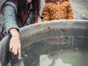 Začíná budějovický advent. Nasvícená zoo láká tisíce návštěvníků, vánoční atmosféru navodí i na výstavišti