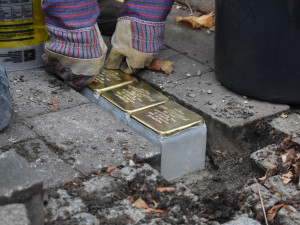 Před válkou podle něj žilo v Českých Budějovicích zhruba 1 400 obyvatel židovského původu. Počty se poté rychle snižovaly. Na počátku okupace jich bylo 900 a před transportem přibližně 600. 