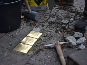 Před válkou podle něj žilo v Českých Budějovicích zhruba 1 400 obyvatel židovského původu. Počty se poté rychle snižovaly. Na počátku okupace jich bylo 900 a před transportem přibližně 600. 