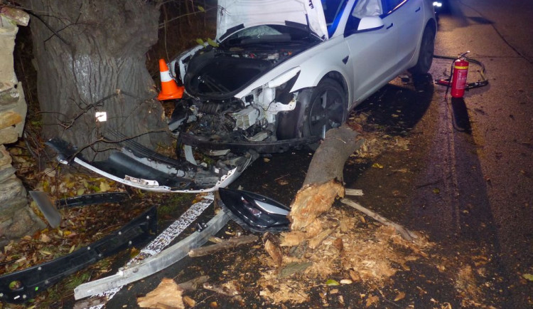 Řidič Tesly se u Žulové lekl protijedoucího vozu a narazil do stromu. Škoda vystřelila na milion