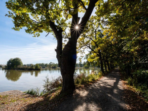 Nedaleko jsou také Vrbenské rybníky či řeka Vltava.