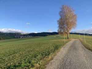 Krajina v rakousko-českém příhraničí.