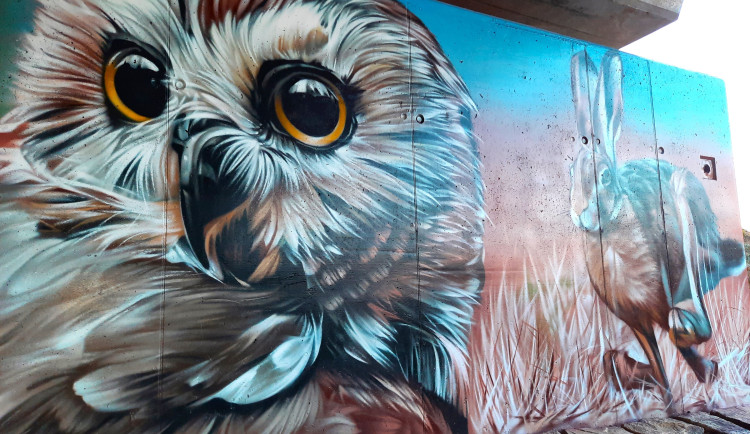 Kresby lesních zvířat na mostě u Vlachova budí nadšení. Obec chce s malbami pokračovat i příští rok