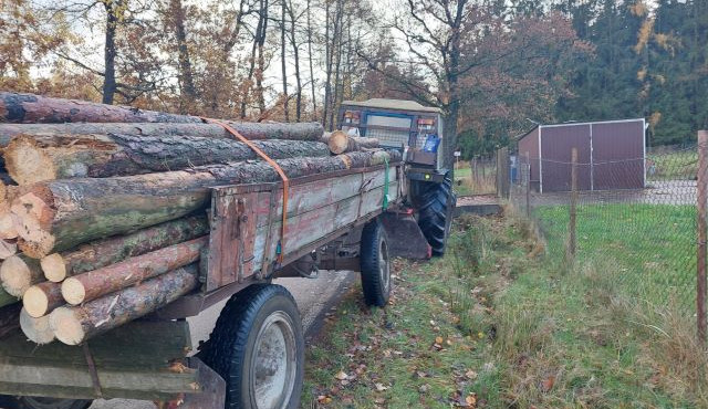 Policisté dopadli zloděje při krádeži dřeva. Způsobil škodu za téměř 100 tisíc korun