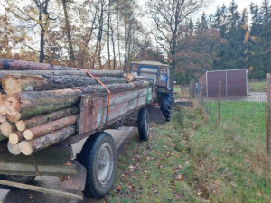 Policisté dopadli zloděje při krádeži dřeva. Způsobil škodu za téměř 100 tisíc korun