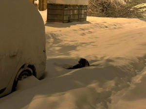 Českobudějovická sídliště Máj a Šumava v sobotu ráno. Foto: Marcela Klímová