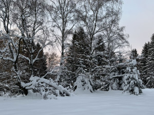 Česko zažilo nejchladnější ráno této zimy, nejvíc mrzlo na Šumavě