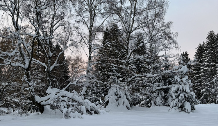 Česko zažilo nejchladnější ráno této zimy, nejvíc mrzlo na Šumavě