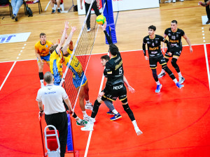 dan.kubat14@gmail.com +420774407608