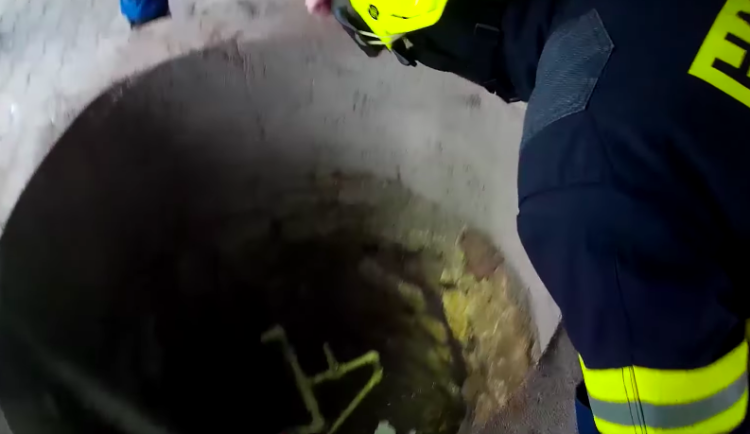 Pes spadl do studny. Hasiči pro něj slanili