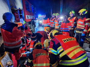 Auto dostalo smyk a narazilo do stromu. Dva lidé skončili v nemocnici