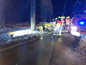 Auto dostalo smyk a narazilo do stromu. Dva lidé skončili v nemocnici