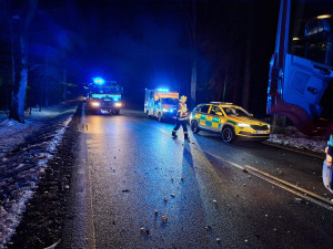 Auto dostalo smyk a narazilo do stromu. Dva lidé skončili v nemocnici