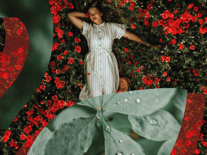 Když se krása a inovace setkává s udržitelností