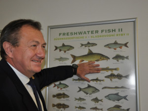 Češi si místo domácího kapra pochutnají radši na dovezeném lososovi, zjistili vědci