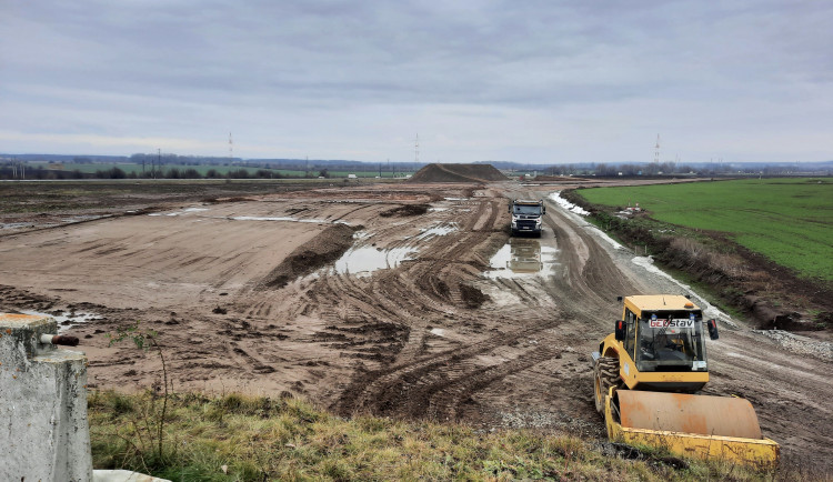 Náhradní výsadba za pokácené stromy u D1 poblíž Přerova až za pět let? To je špatně, rozhodl soud