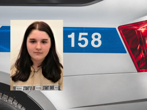 Čtrnáctiletá dívka odešla z domova, hledá ji policie