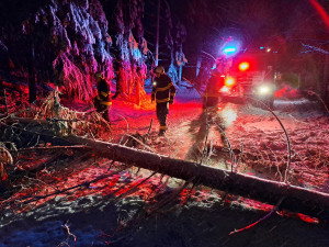 Sněhová kalamita na jihu Čech. Hasiči odklízí stromy, domácnosti jsou bez elektřiny