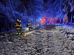 Sněhová kalamita na jihu Čech. Hasiči odklízí stromy, domácnosti jsou bez elektřiny
